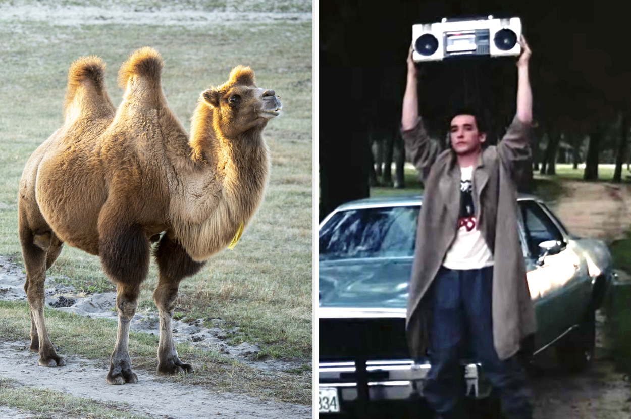 35 General Knowledge Questions Every Average Adult Should Be Able To Answer
