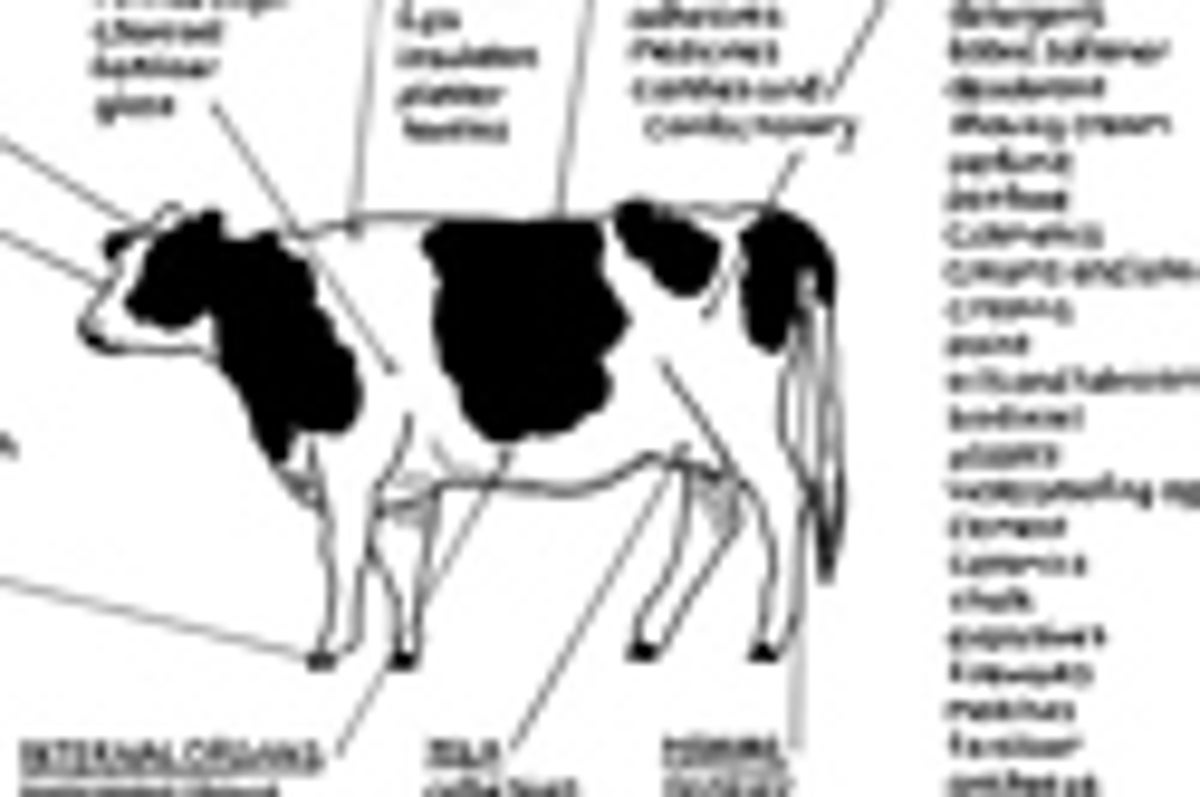 Vegans Are Living a Lie