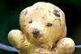 potato teddy bear