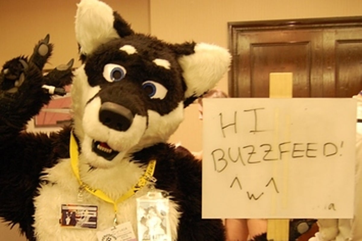Are Furries Really So Bad?