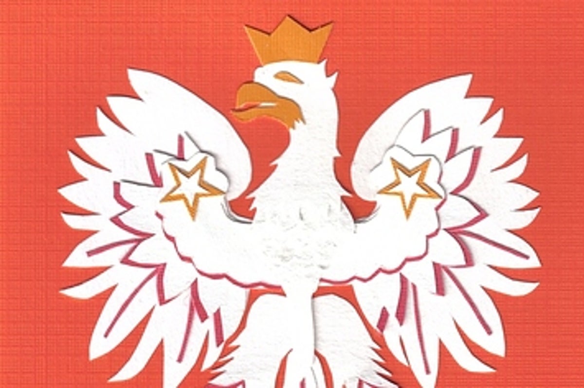 Polish Online Wrath Swamps Conservative Columnist