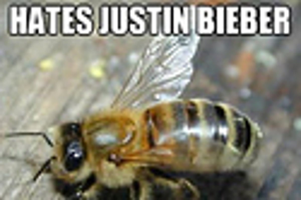 Best Of Hivemind Bee Meme Best Of Hivemind Bee Meme