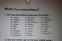 What's Your Animal Name