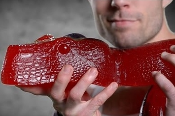 Image result for gigantic gummy python