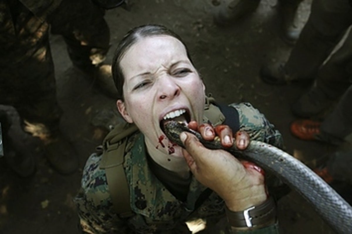These Pictures Of Marines Drinking Snake Blood Are The Most Insane