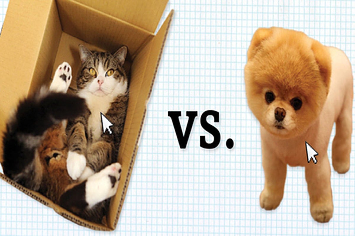 which are cuter cats or dogs