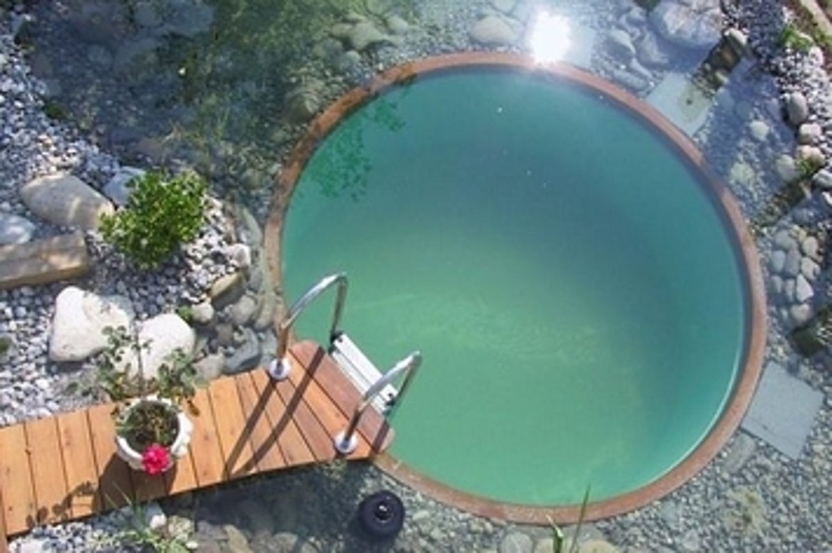 17 Natural Swimming Pools You Wish Were In Your Backyard 17 Natural Swimming Pools You Wish Were In Your Backyard