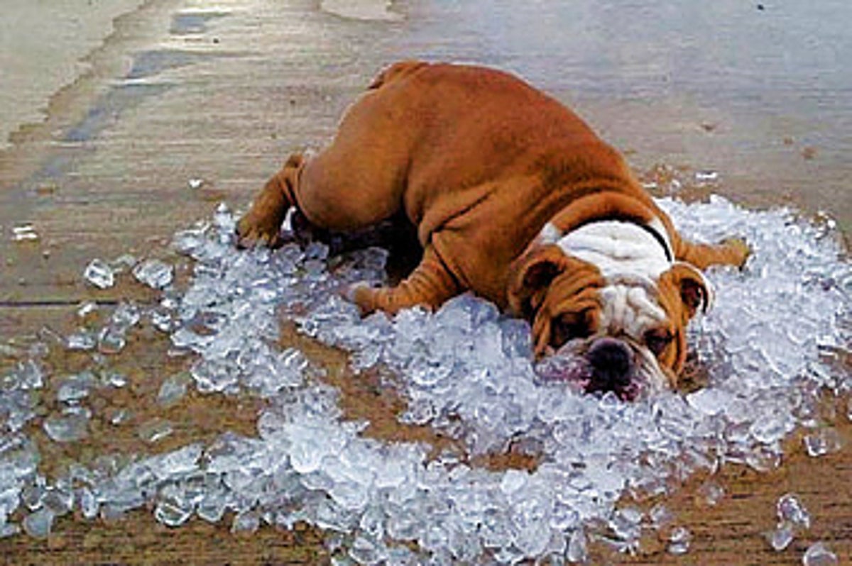 27 Ingenious Ways To Stay Cool This Summer