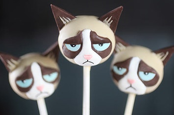 Grumpy Cat