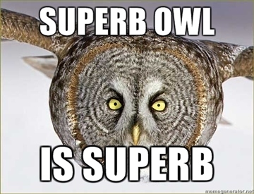 Superb Owl Sunday - WESTVIEW NEWS