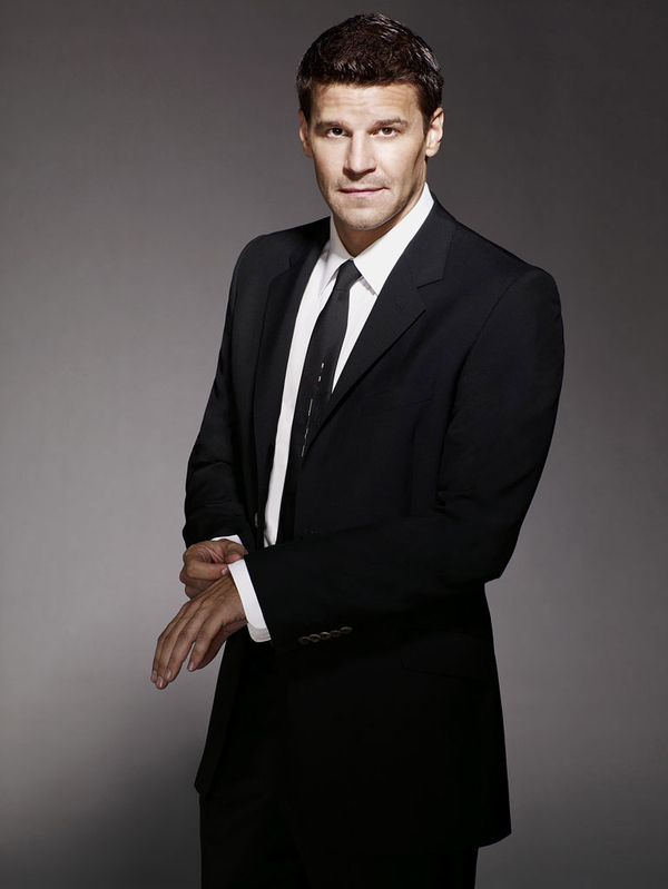 Special Agent Seeley Booth (Bones)
