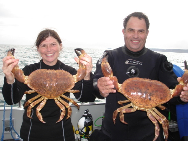 They&#39;re holding giant crabs