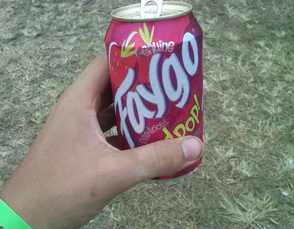 Red Faygo is gross. Purple Faygo is good. Diet Faygo tastes like nothing.
