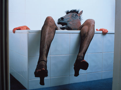 In Arizona, donkeys cannot sleep in bathtubs.
