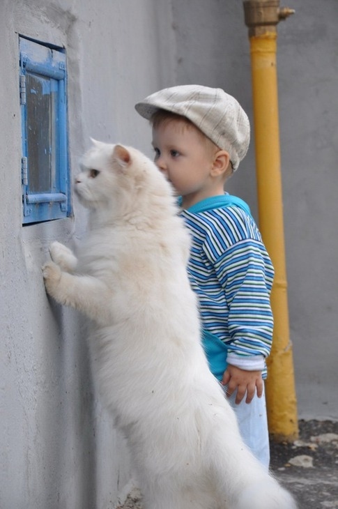 This little boy and his cat companion