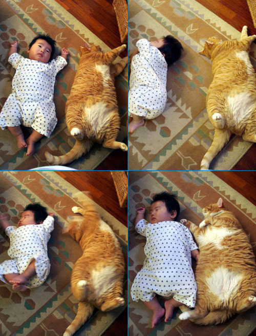 This cat copying a baby
