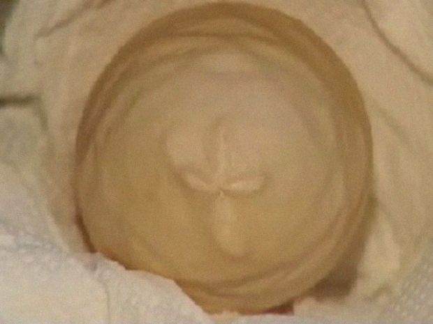 Cross appears in Hard Boiled Egg