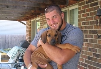 Tim Tebow, Denver Broncos