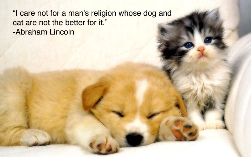 24 Inspiring Quotes For People Who Love Animals