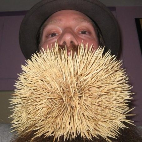 Maine produces 90 percent of the country's toothpick supply
