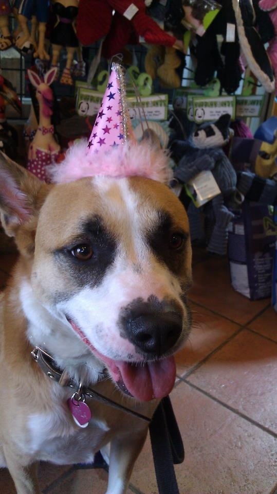 My girl likes to party all the time.. party all the time..