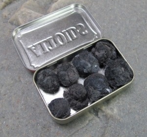 Make firestarter balls out of dryer lint and petroleum jelly.