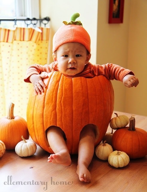25 Babies In Pumpkins