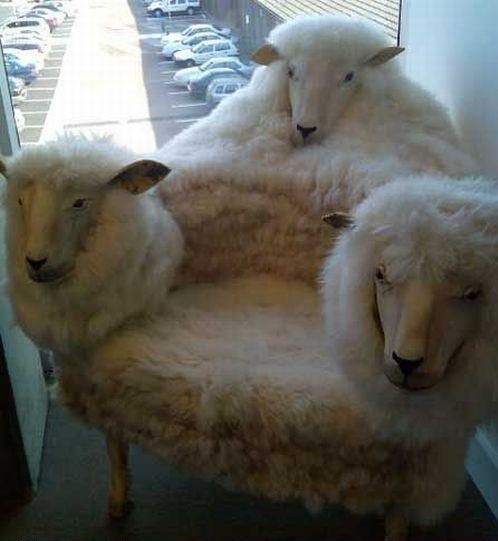 Because 3 sheep had to die in order for it to be created.