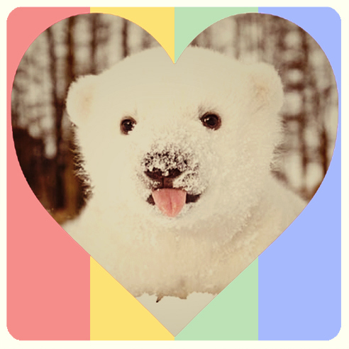 Baby polar bear playing in the snow for the first time