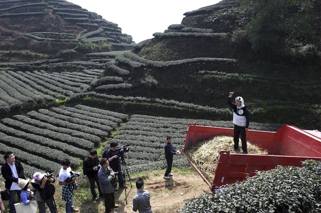 Businessman An Yanshi, right, stands on a truckload of panda droppings collected to be used as fertilizer for his tea farm.