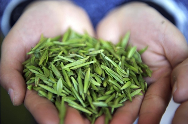 A girl holds up tea leaves collected from a plantation fertilized with panda droppings in China's Sichuan province, Saturday March 17, 2012. The tons of excrement come from panda bears living at nearby breeding centers. Businessman An Yanshi wants to sell 21 commemorative sets packaged with 50 grams of the tea, panda themed tea sets and his own art works for the price of around 22,000 yuan, or $3,500. Individual cups of tea will cost $200.