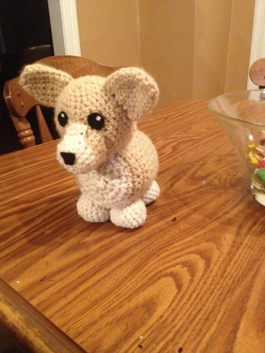 Corgie