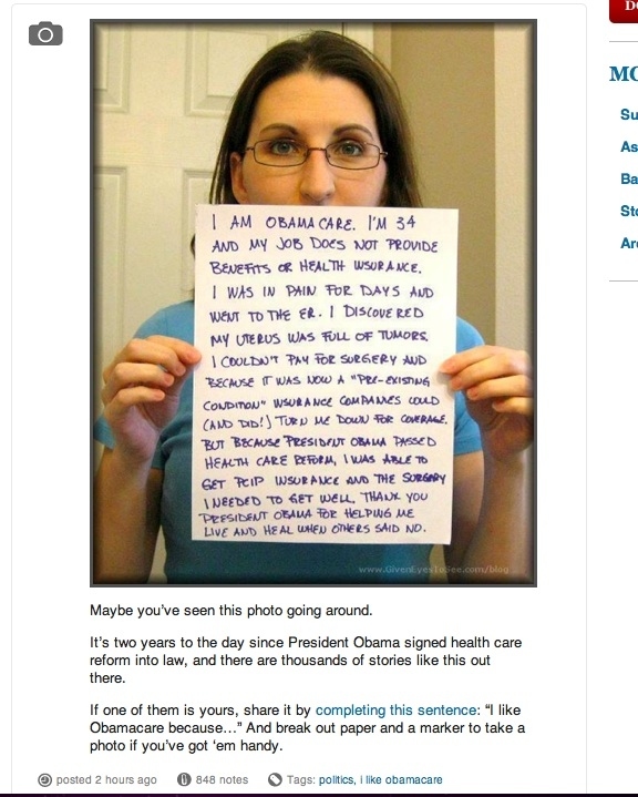 More from the campaign tumblr...