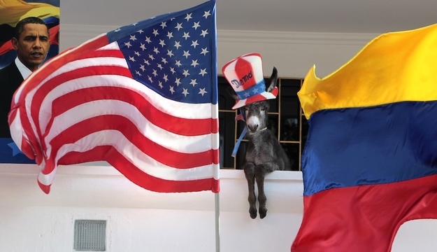 A baby donkey named Demo belonging to Colombian attorney Silvio Carrasquilla, dressed as the mascot of the U.S. Democratic Party, stands where it was placed in a pose by Carrasquilla between the U.S. and the Colombian flags, at his home in Turbaco, near Cartagena, April 11, 2012. Carrasquilla, Turbaco's former mayor who considers himself Colombia's number one fan of U.S. President Barack Obama, is sprucing up his house by painting it the red, white and blue of the U.S. flag to celebrate Obama's arrival in Cartagena for the VI Summit of the Americas on Friday.