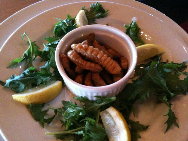 In New Zealand the Maori snack is huhu grub from the longhorn beetle. It is said to taste like buttery chicken. Photo Credit: Pam/TravelSkite