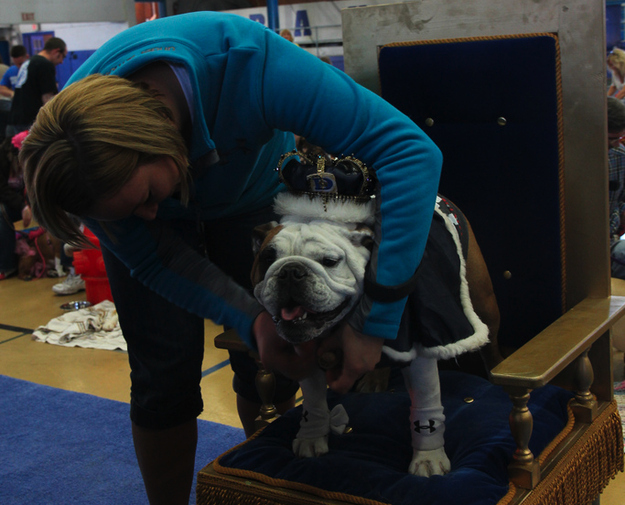 Long live the king! Tyson is from Urbandale, Iowa.