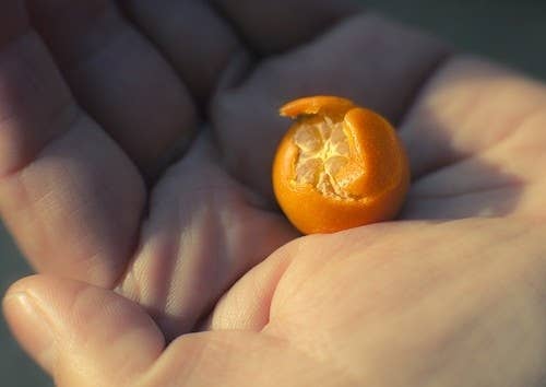 58 Very Tiny Cute Things .meaning, definition, what is something is small potatoes: 58 very tiny cute things