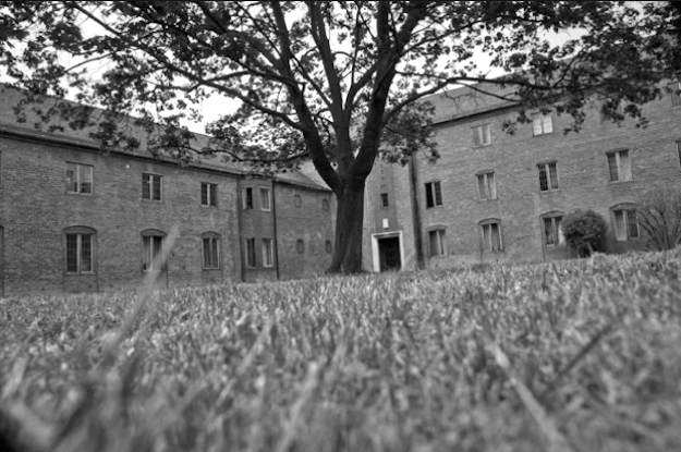 Cranbrook School.