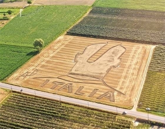 What can you say, it's football season!