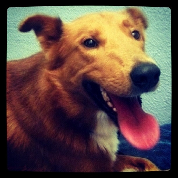 Kory is a lovable guy and can't wait for his new home.