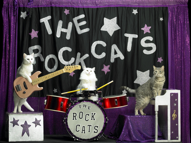 After some problematic members quit and the band reorganized, The Rockcats graduated from opening act to headliners.