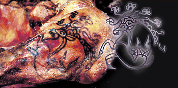 A photo close-up of Princess Ukok's shoulder tattoo.