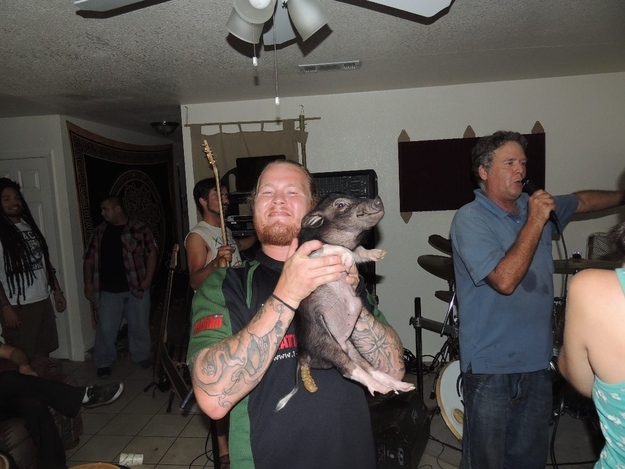 Well, that explains the piglet's expression. As a side note, I'd like to know what the heck song that dude is singing.