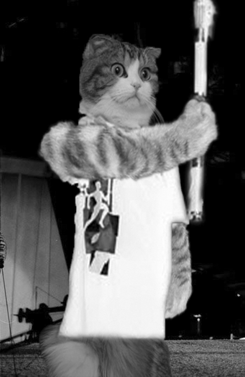 This is me lighting the Olympic torch in 1996. You probably remember it. It was pretty controversial being the first cat to have that honor. But I've spent so much of my life fighting anti-cat prejudices that it felt right to break that barrier. But don't let that fool you into thinking things are better now. Cats have to put up with being infantilized and laughed at by people everywhere. It used to just be the occasional America's Funniest Home Video, but now with the Internet it's grown rampant. Stand up for the dignity of felines. We can spell. We don't HAZ anything. Except resentment for all of you who use our pictures for a few laughs. We HAZ lots of resentment. Lots.