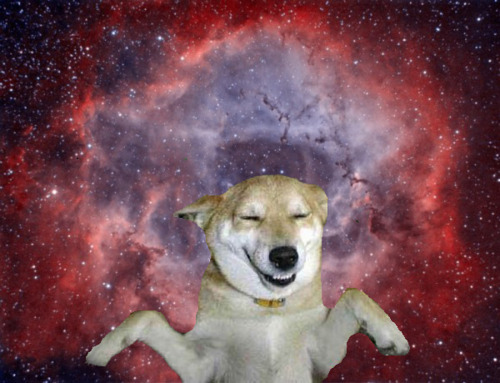 Doggies!Man's best friend is making friends with aliens too. Puppy, go fetch that dwarf star! Good dog!