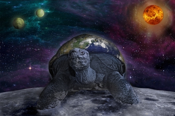 Turtles In Space