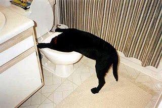 AANNNDDD... the aftermath!