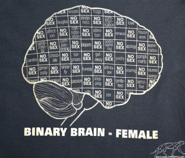 In the 21st century, everything we know is stored in computers as binary digits, or bits, which can exist in only one of two possible states--variously designated as plus or minus, one or zero, yes or no, on or off, etc. When we apply modern information theory to the age-old question of how men and women differ, we quickly see that a man's brain can be easily digitized into its lowest possible 2-bit states: sex or no-sex. Women, on the other hand, are a yottabyte more complicated—as these battling male and female binary sex brain designs so clearly illustrate.