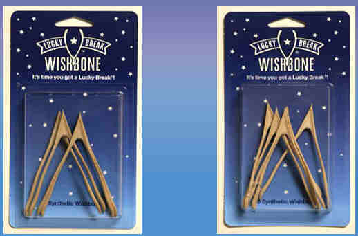 Ever get down during Thanksgiving dinner because you didn't get to snap the wishbone? Ken Ahroni solved this problem with a mass-produced plastic wishbone that snaps just like the real thing.
