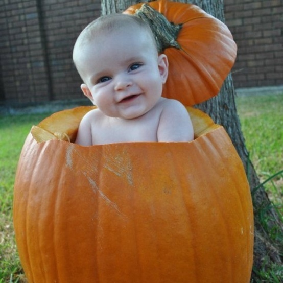 25 Babies In Pumpkins
